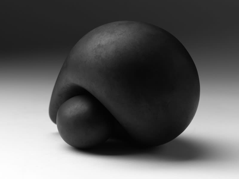 Belinda Winkler, Encounter #6, 2011