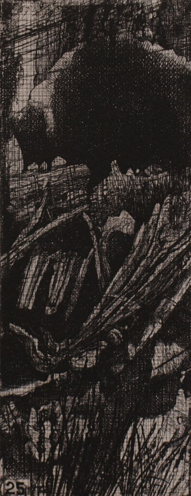 Raymond Arnold, Elsewhere World Fragment No 25 3rd state, 2019