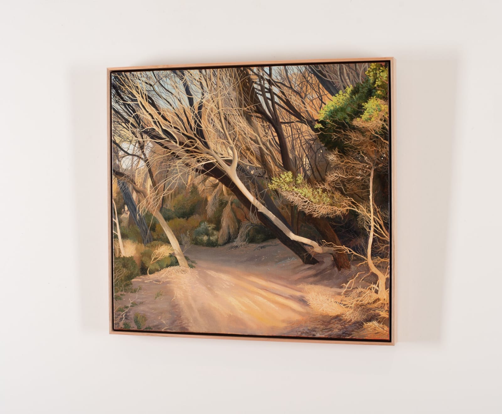 David Keeling, Still that old magic Narawntapu, 2022