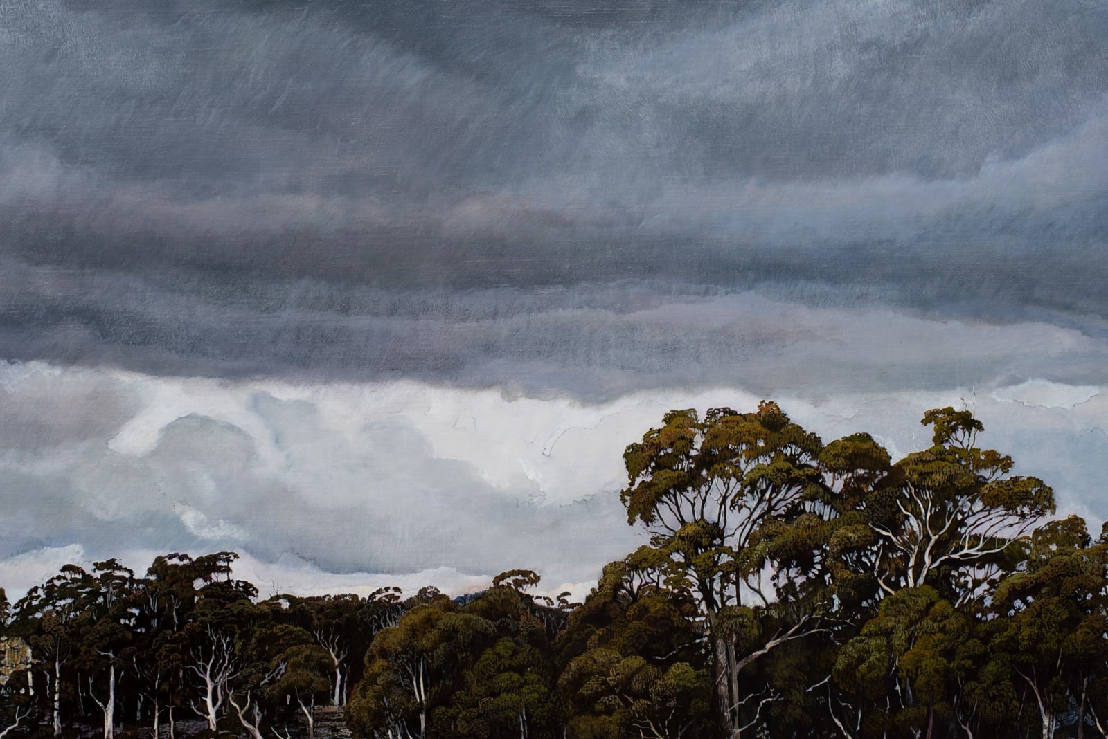 Stephanie Tabram, Shifting Light, 2023