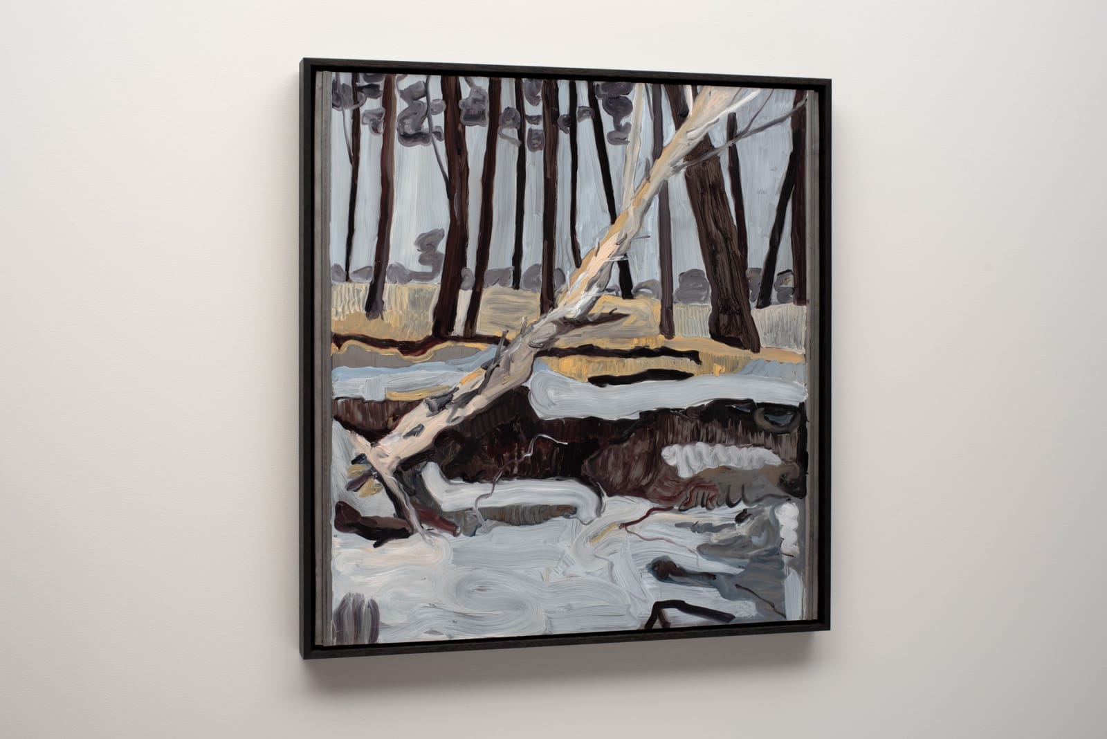 Kate Lewis, Gorringes sand dunes, 2023