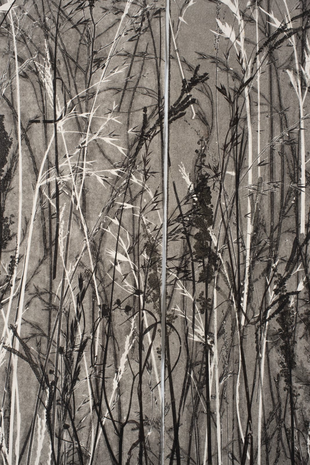 Frances Malcomson, Entangling 2, 2024