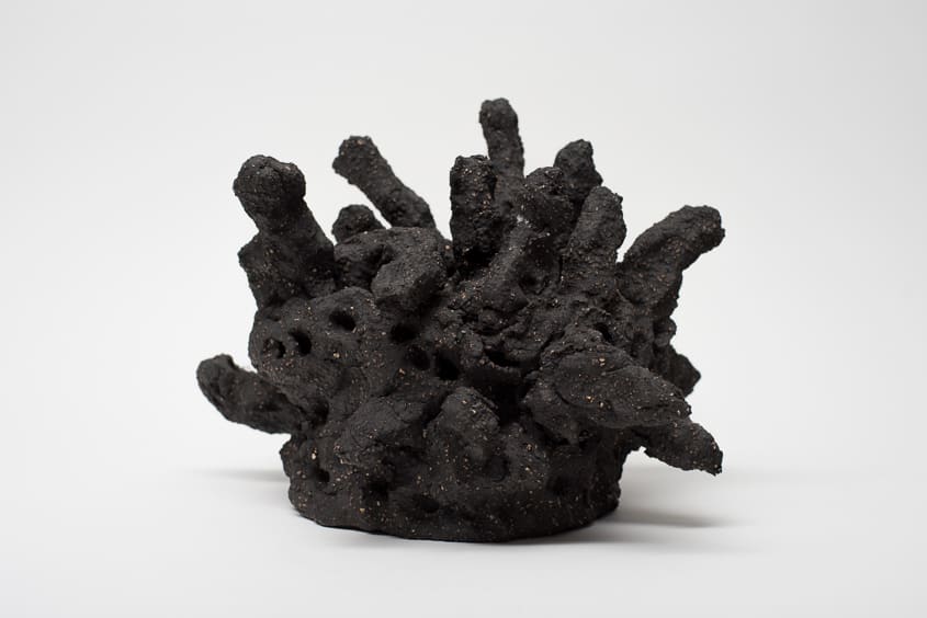 Locust Jones, Self Report 3, 2016