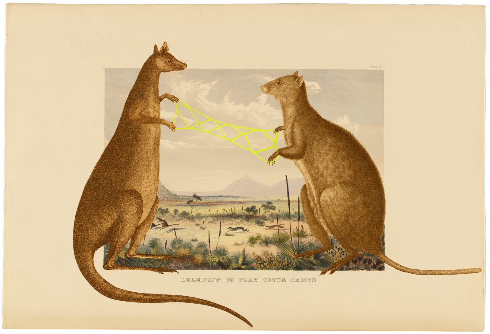 Joan Ross, Learning to play their games, 2021