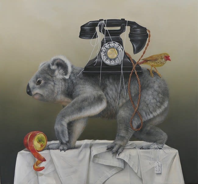Kate Bergin, How Much Can a Koala Bear, 2018