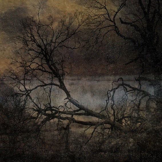 Troy Ruffels, Coda, 2014