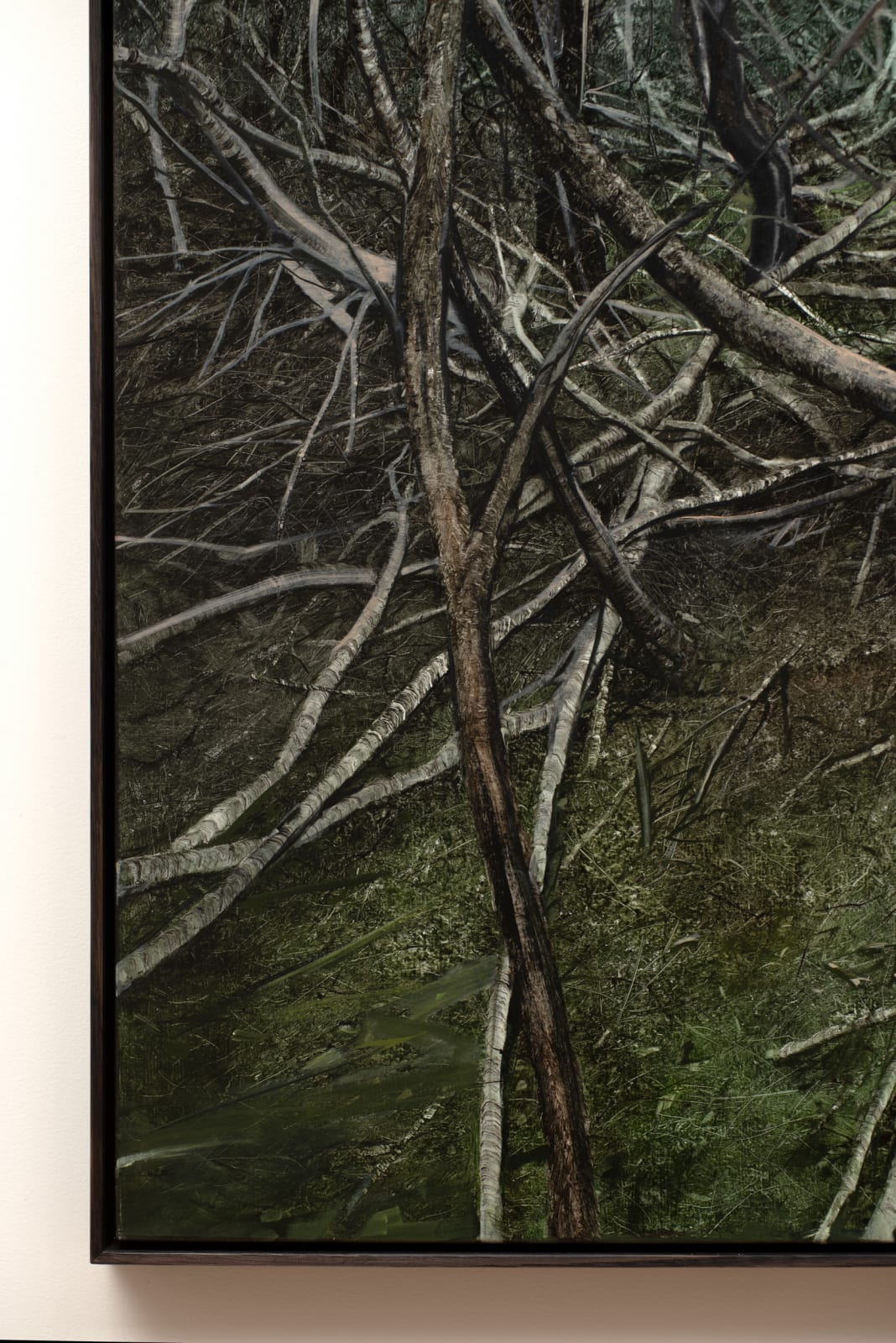 Nicholas Blowers, Narcissus, Lake St Claire, 2021