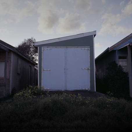 Jane Burton, Available Light 4, 2003