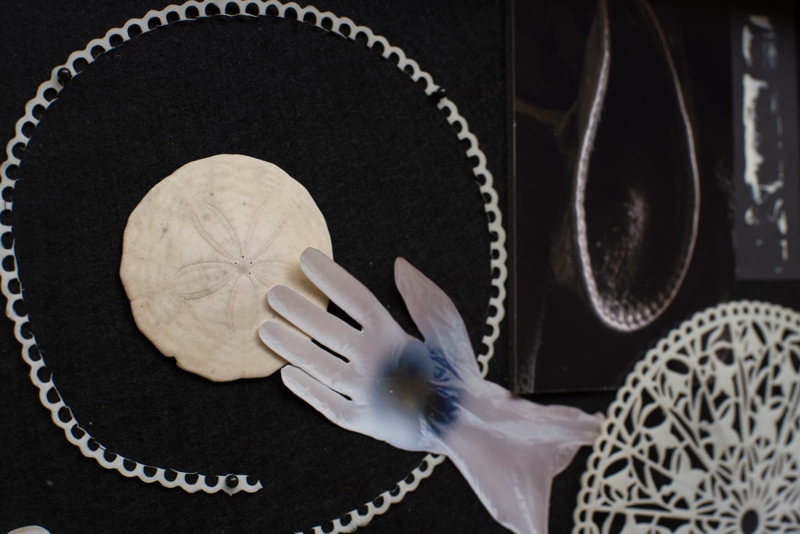 Irene Briant, Full of their own Small Destinies 3, 2021