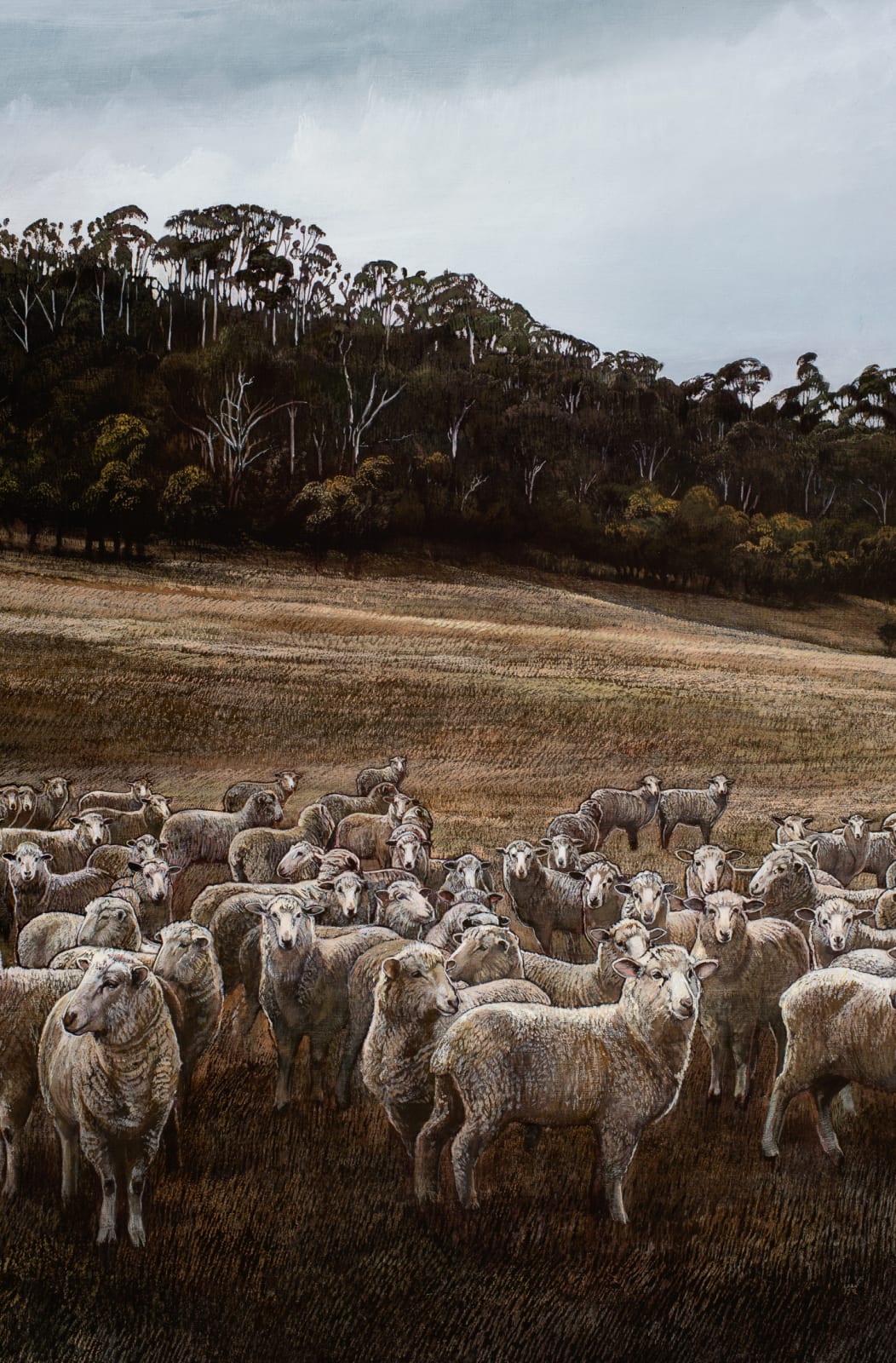 Stephanie Tabram, Wattle & Lamb, 2021
