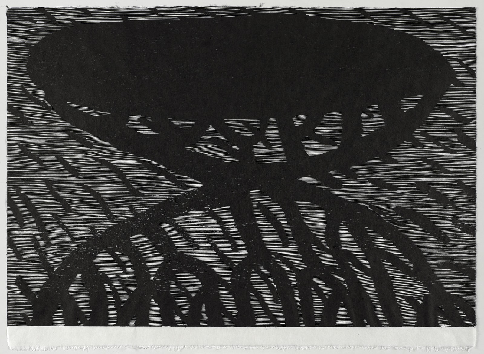 Michael Schlitz, Shadow Roots, 2019