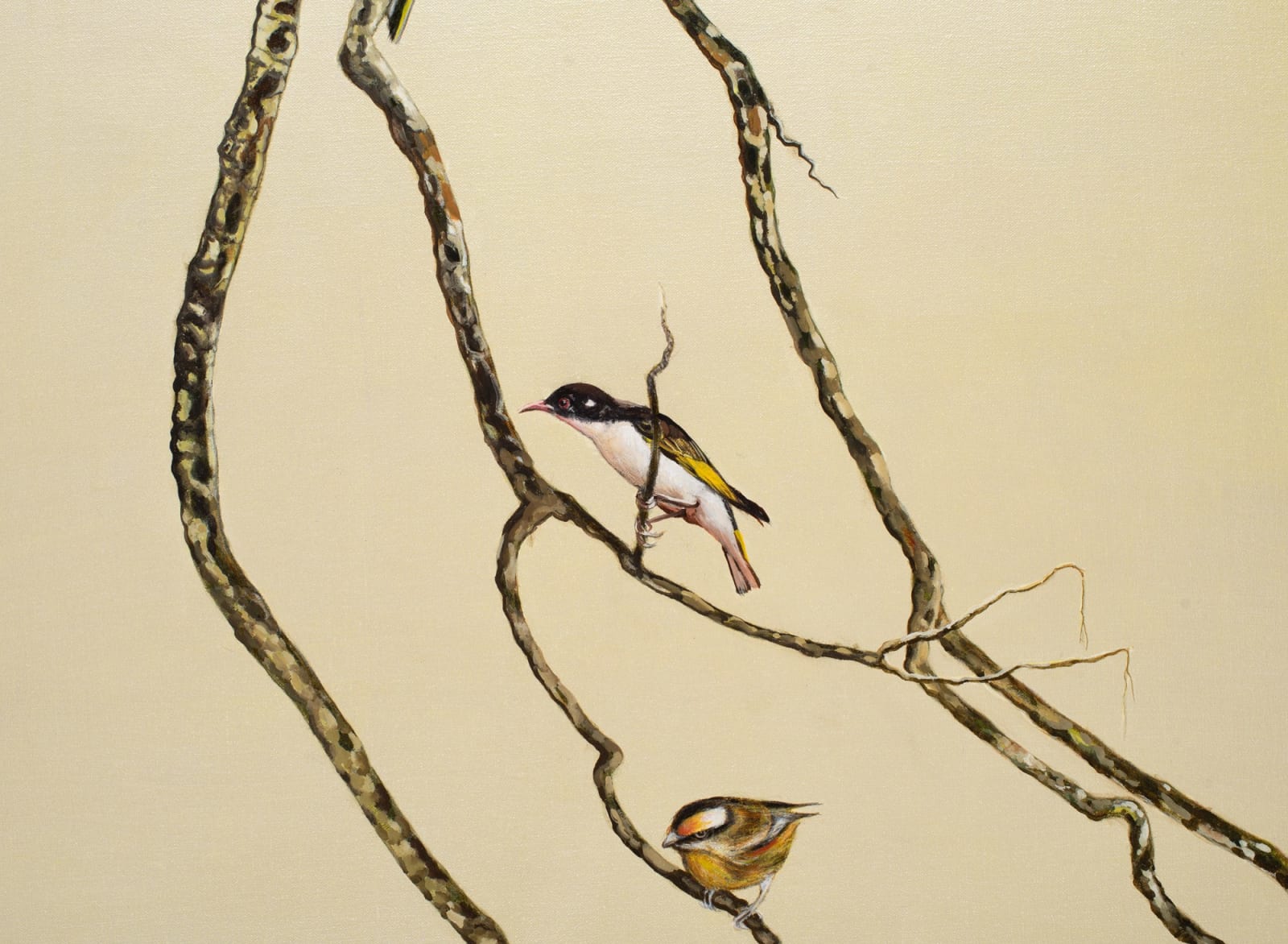 Helen Wright, Follow the sun, 2023/24
