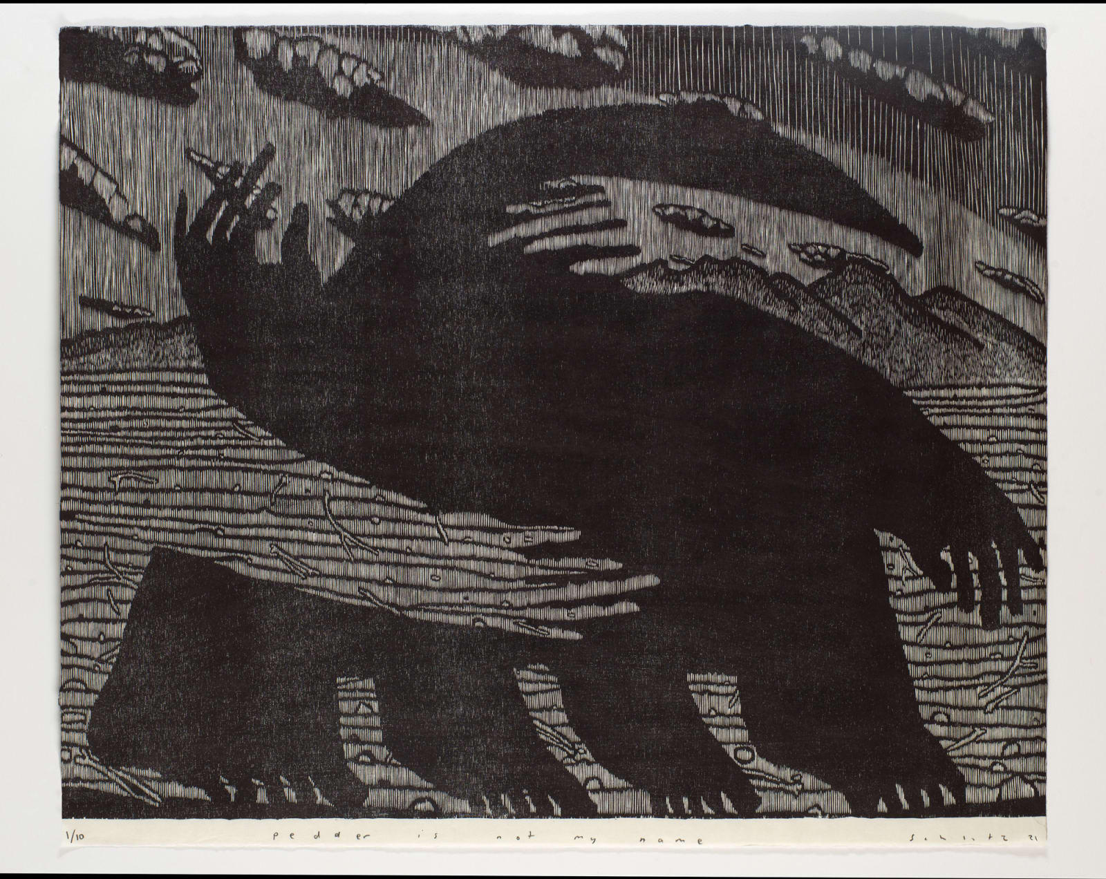 Michael Schlitz, Pedder is not my name, 2021