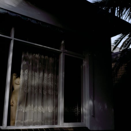 Jane Burton, Available Light 7, 2003