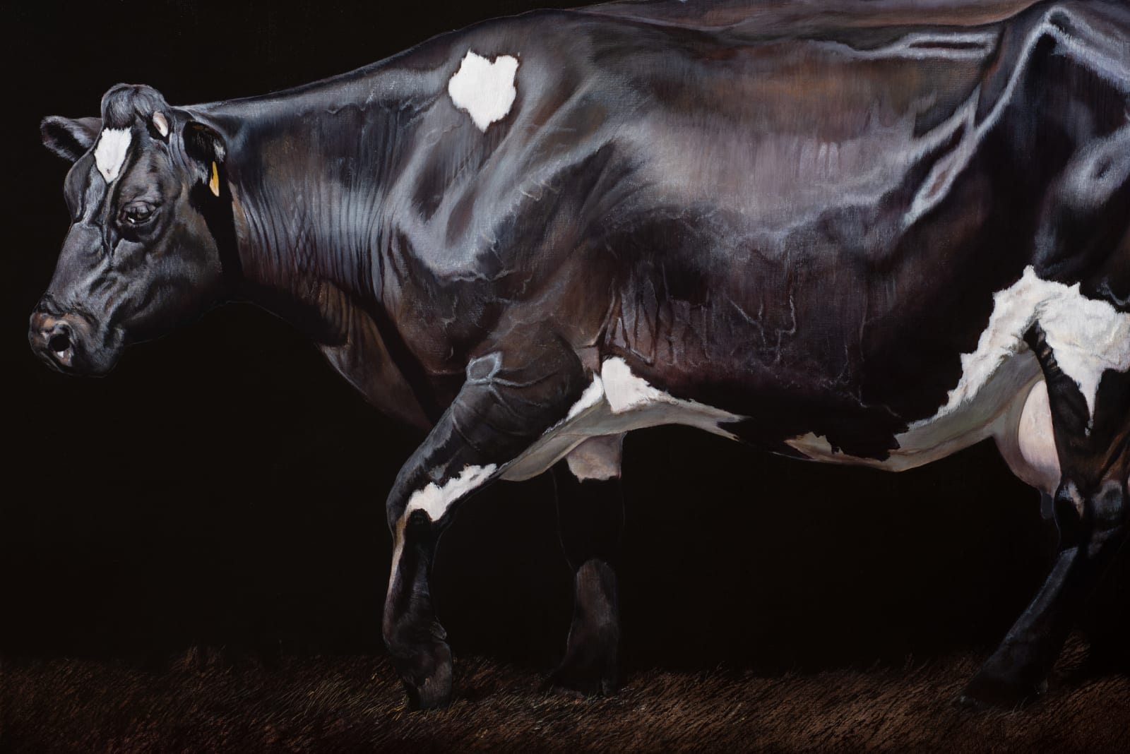 Stephanie Tabram, Grace, 2014