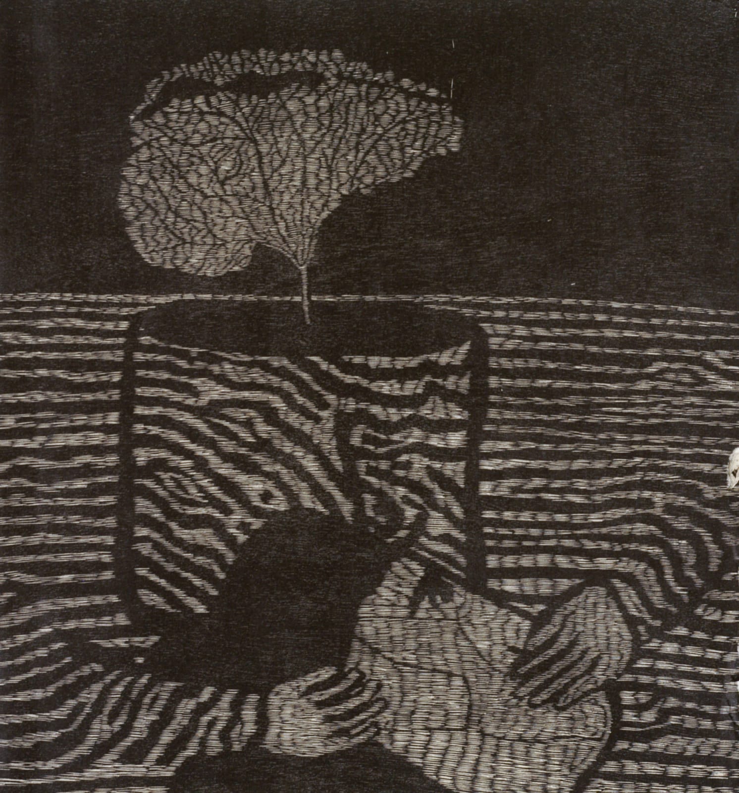 Michael Schlitz, Shadow of the bonsai, 2005