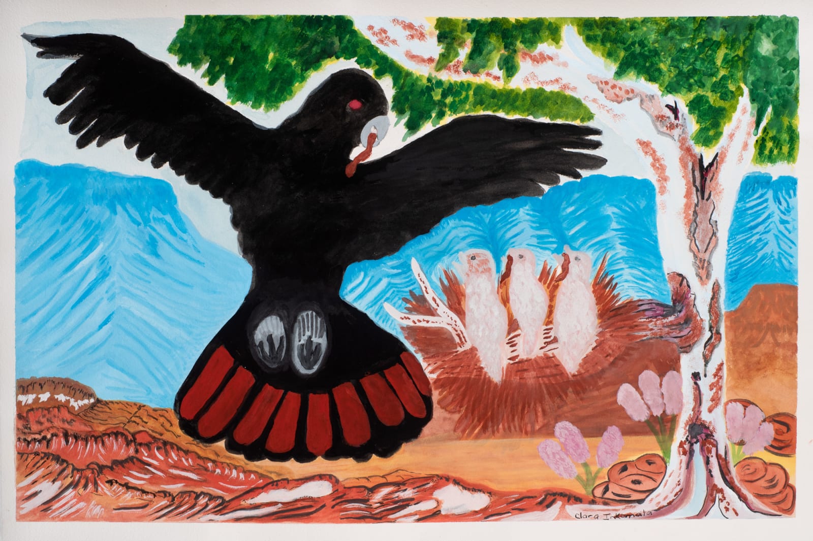 Clara Inkamala, Red-tail cockatoo feeding it's young, 2019