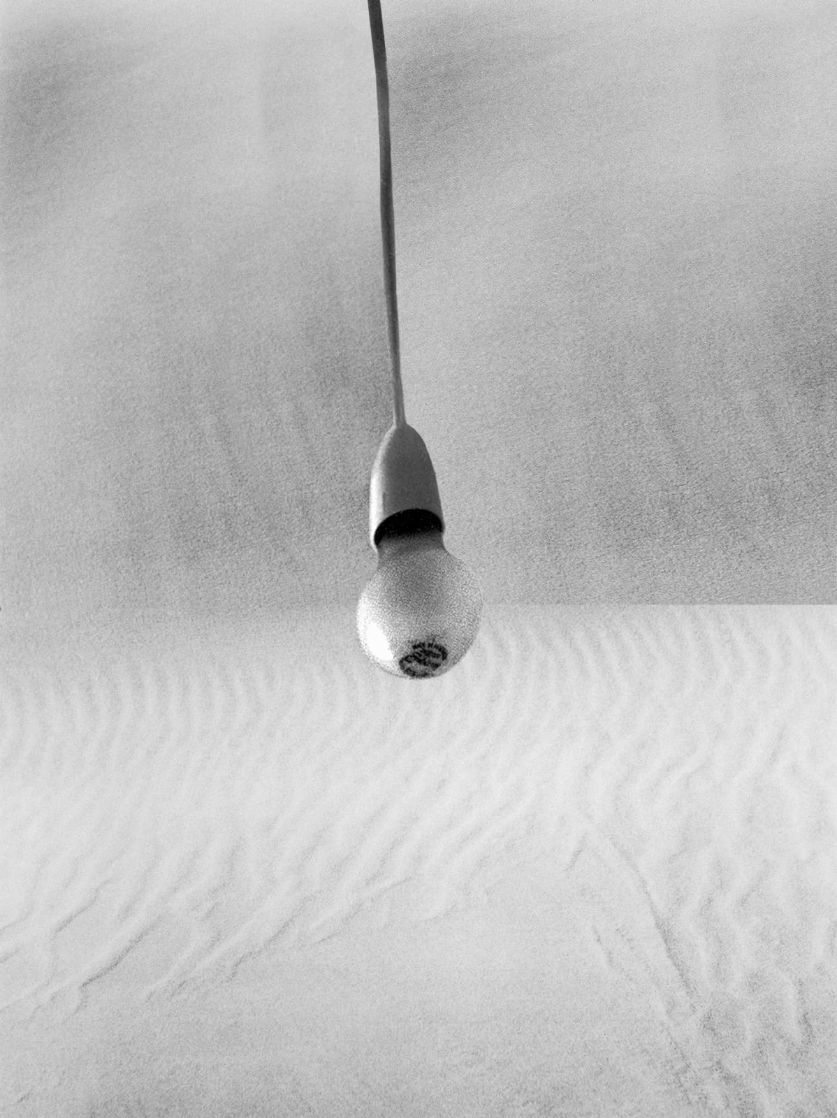 Pat Brassington, Kiss of Life, 2021