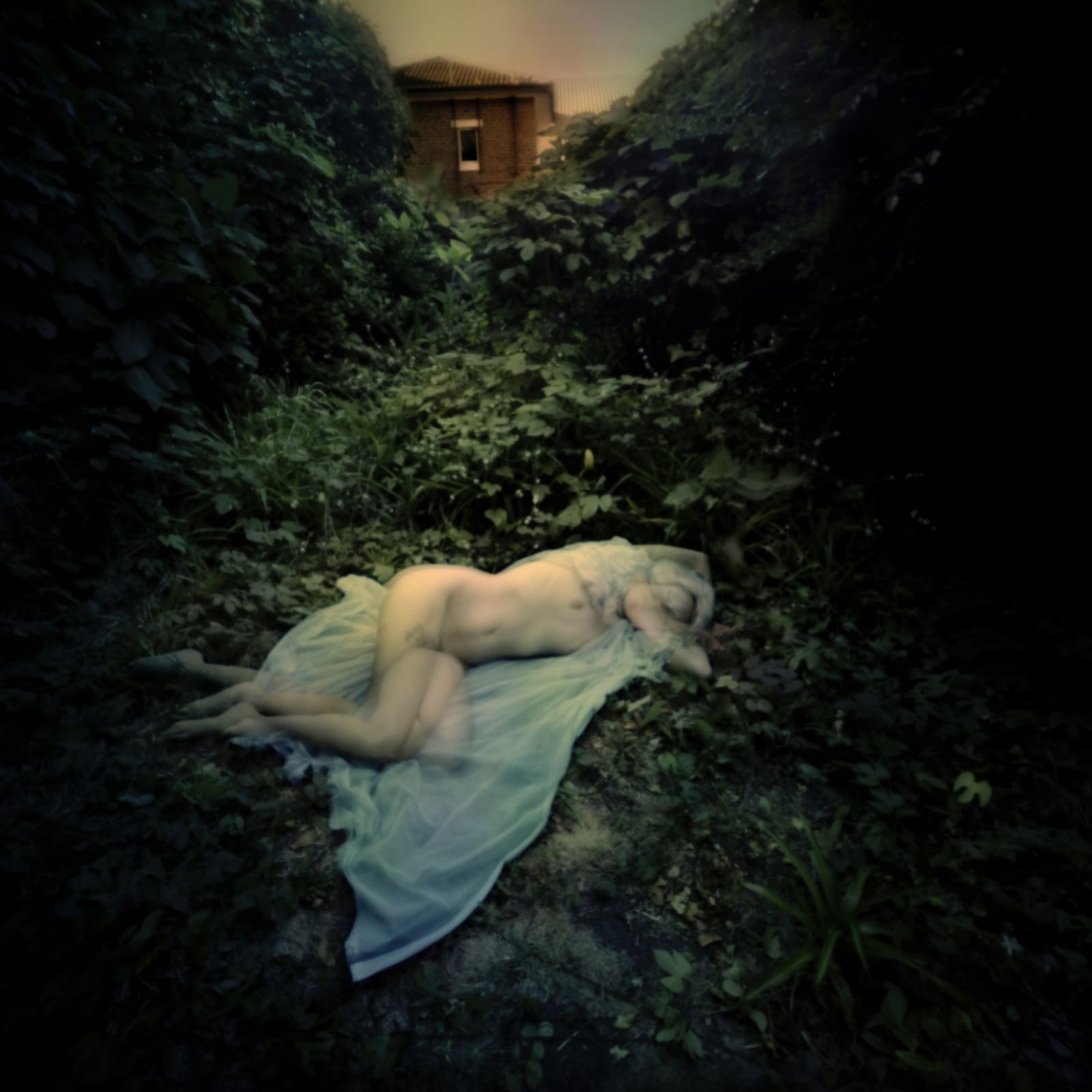 Jane Burton, In Other Bodies 12, 2013