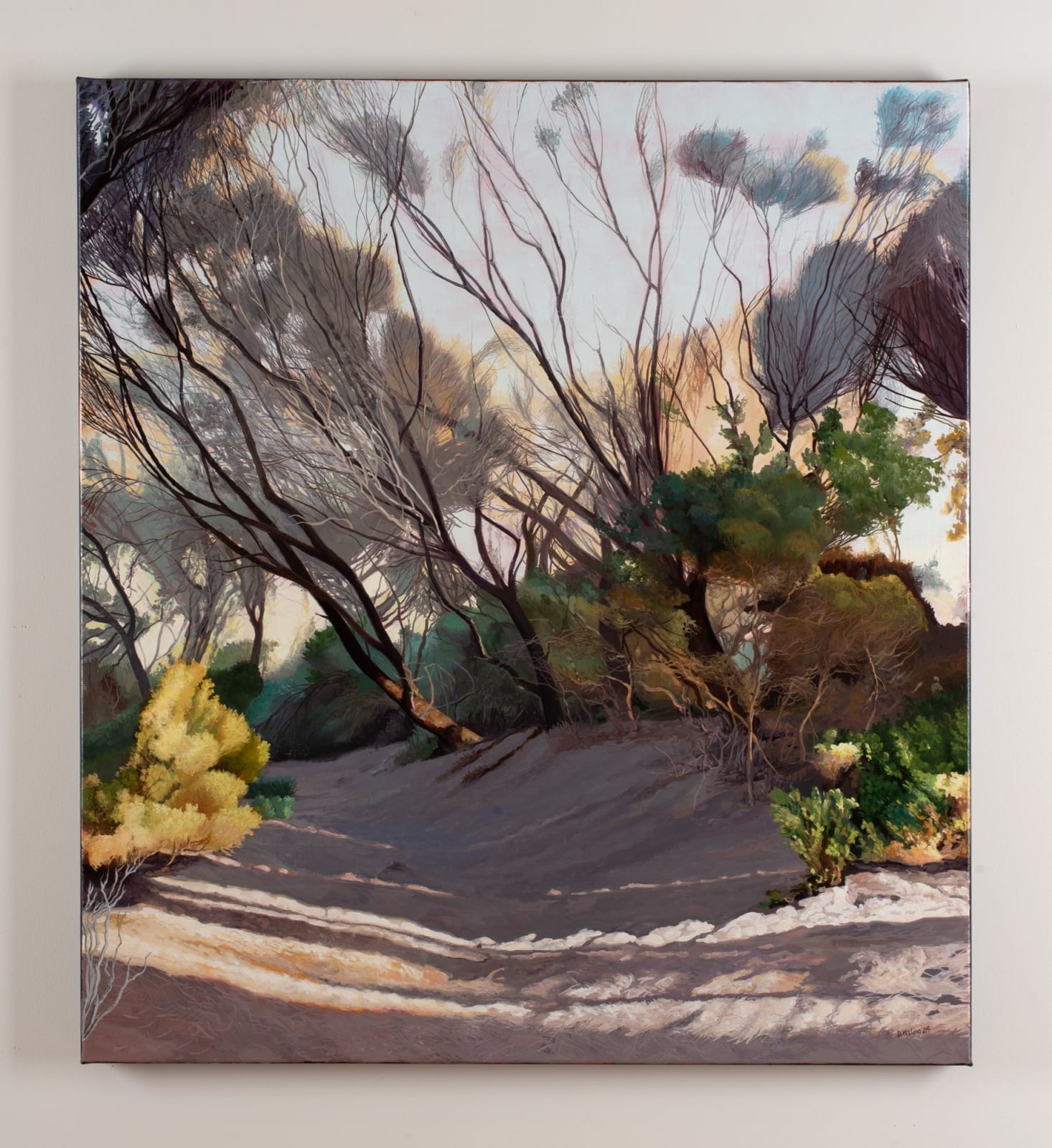 David Keeling, Shadows dance, 2024