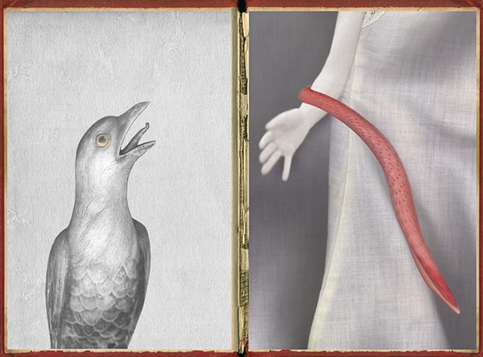 Pat Brassington, The Pressings #2, 2011