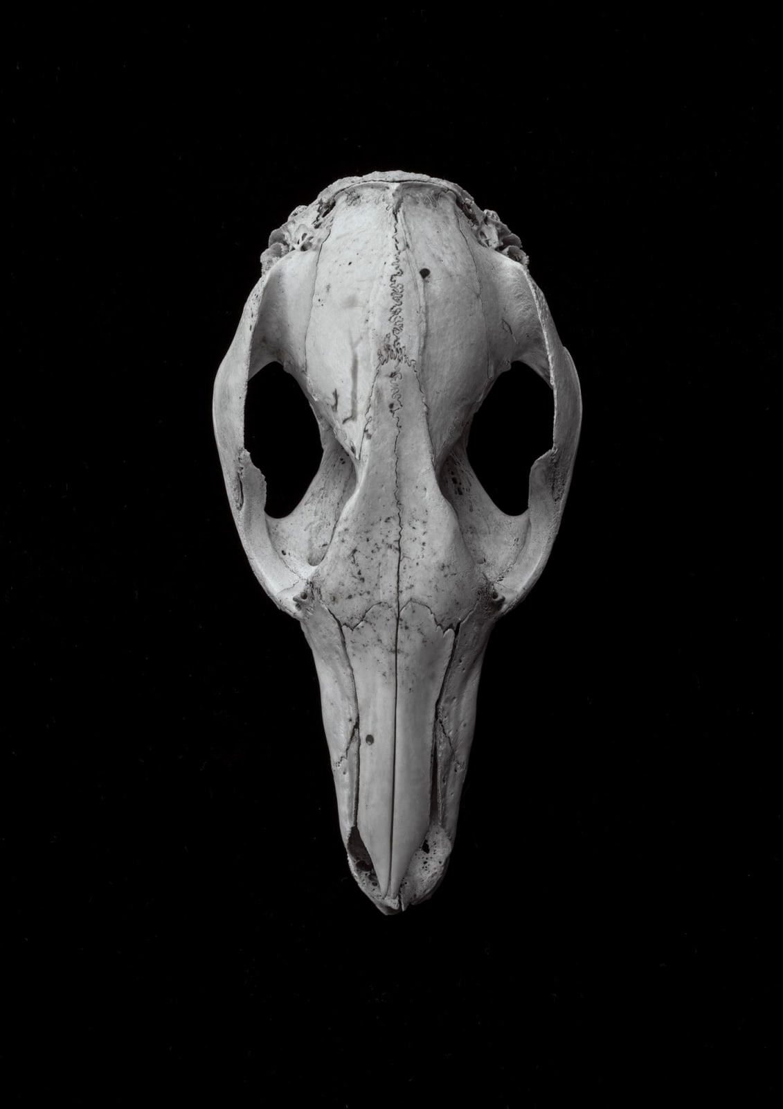 David Stephenson, Lyell Hwy near Bronte Lagoon 3, 2021