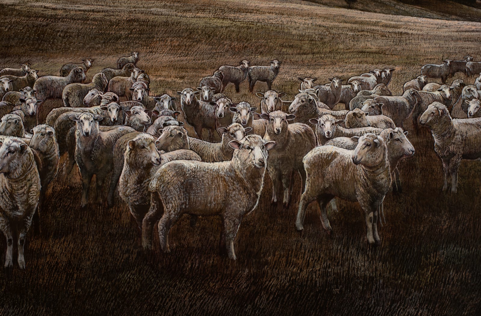 Stephanie Tabram, Wattle & Lamb, 2021