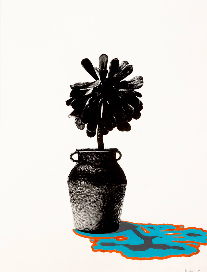 Matt Coyle, Wallflower, 2014