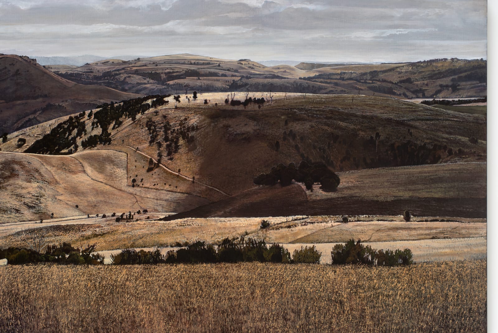 Stephanie Tabram, On Hamilton Plain, 2021