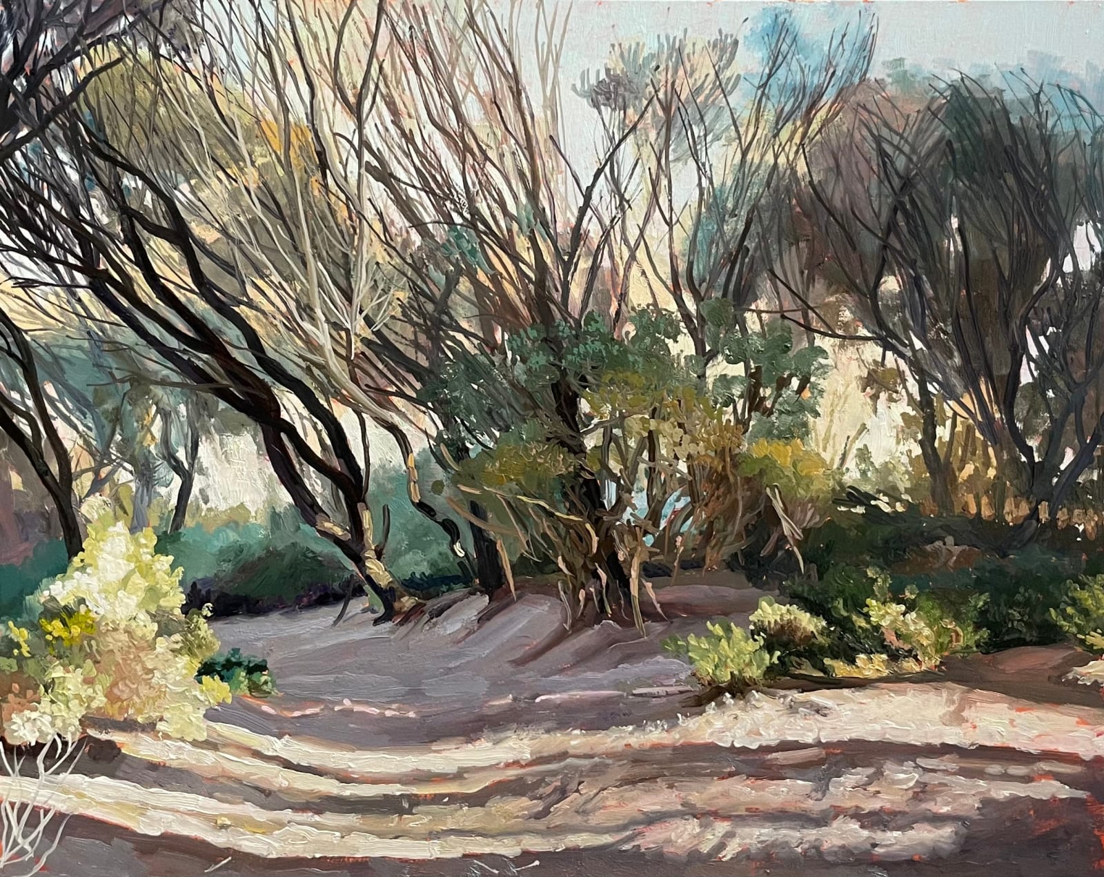 David Keeling, A burst of light, Narawntapu, 2025