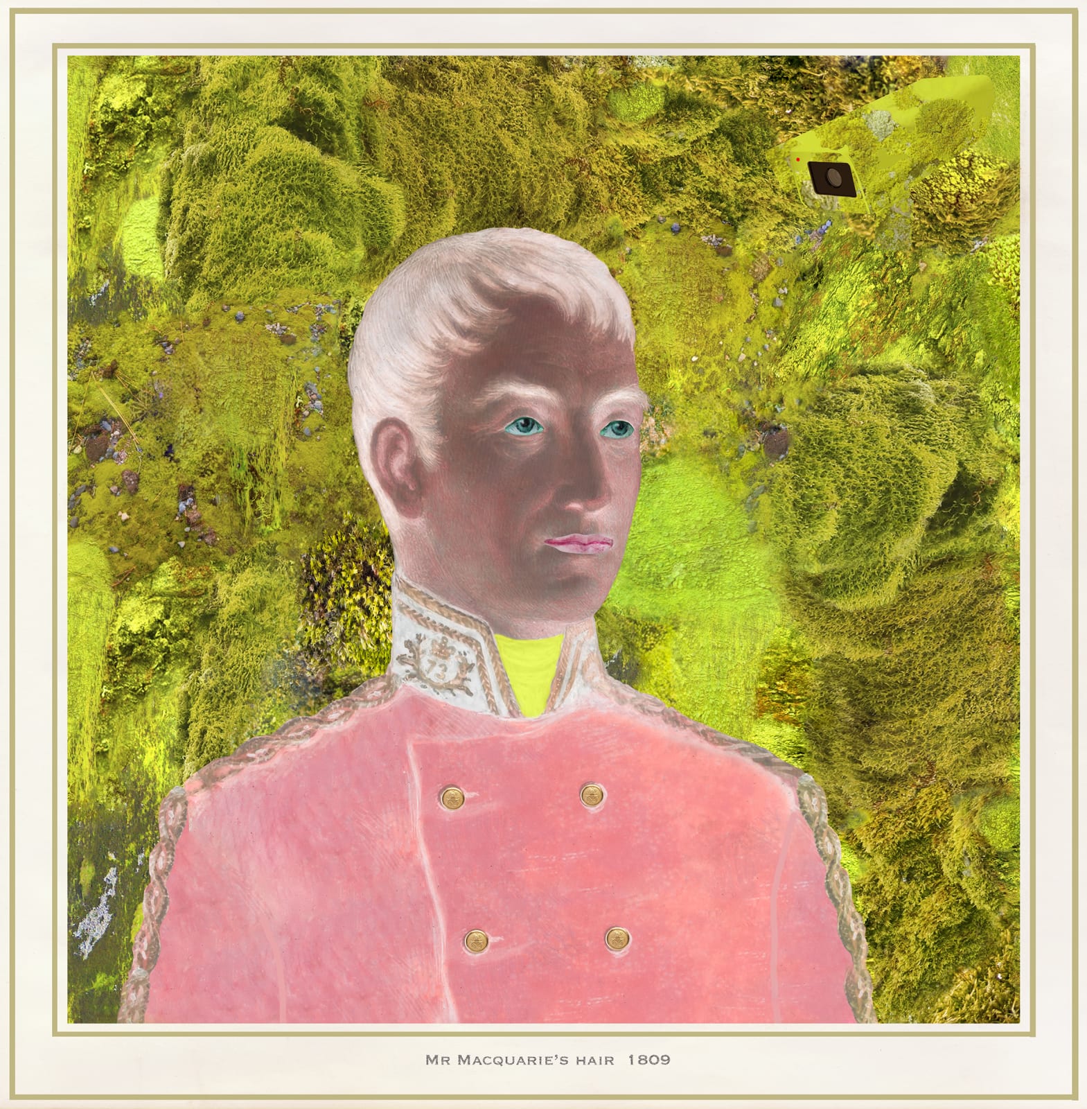 Joan Ross, Mr Macquarie's hair, 2021