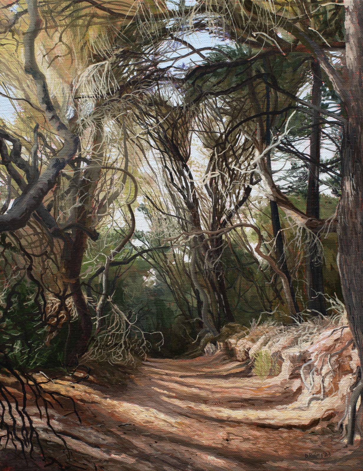 David Keeling, Wilderness Track, a thousand shadows deep, 2023