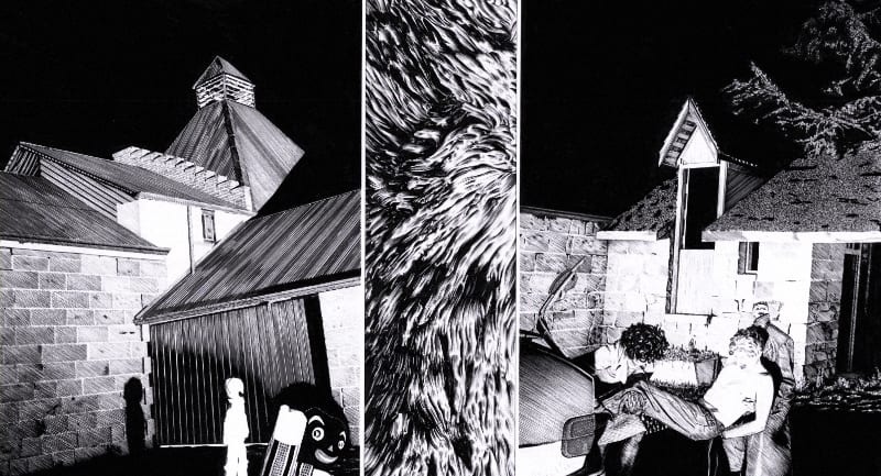 Matt Coyle, A sense of disquiet, 2001