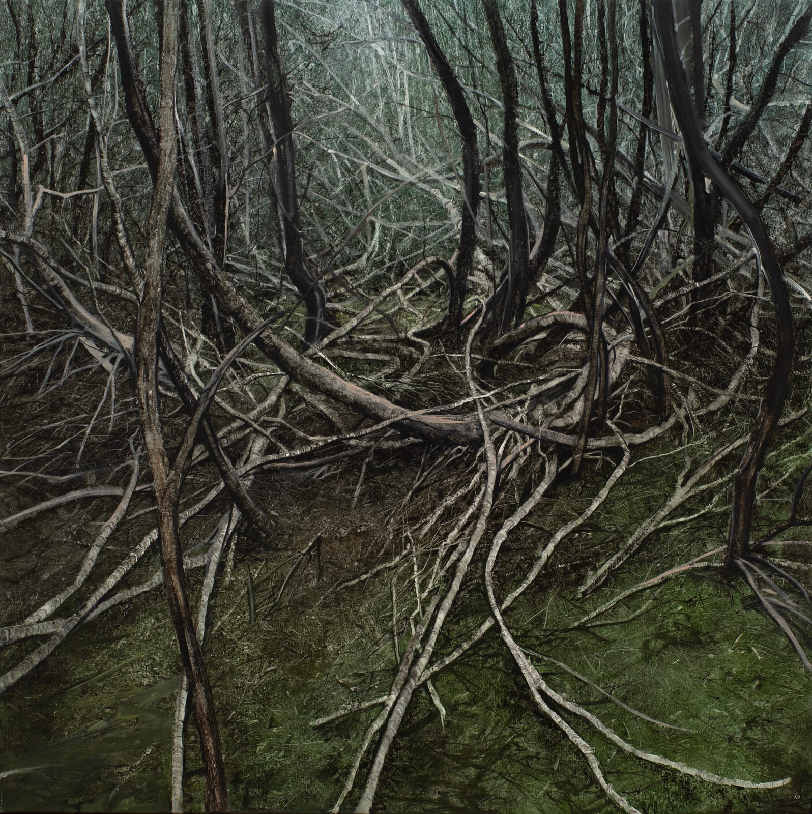 Nicholas Blowers, Narcissus, Lake St Claire, 2021