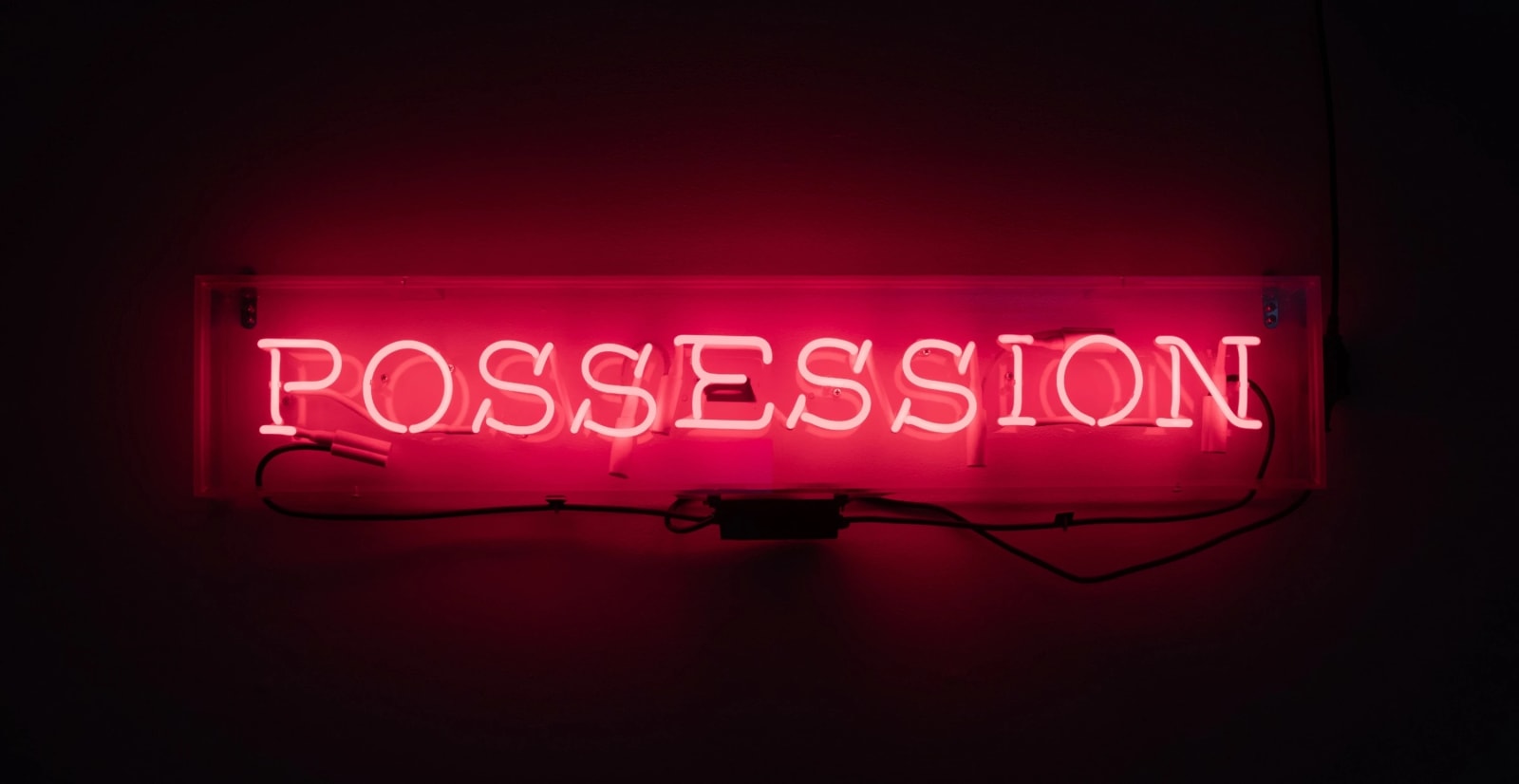Joan Ross, Possession, 2022