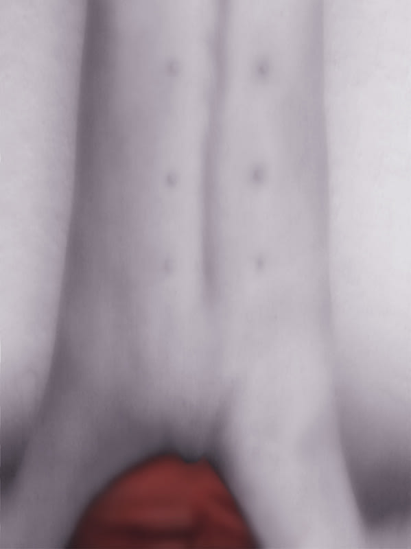Pat Brassington, beautiful, 2003