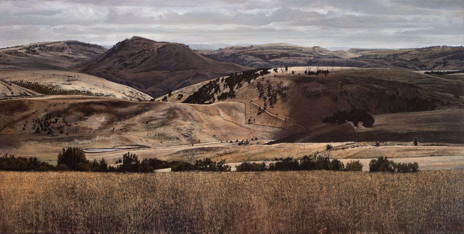 Stephanie Tabram, On Hamilton Plain, 2021
