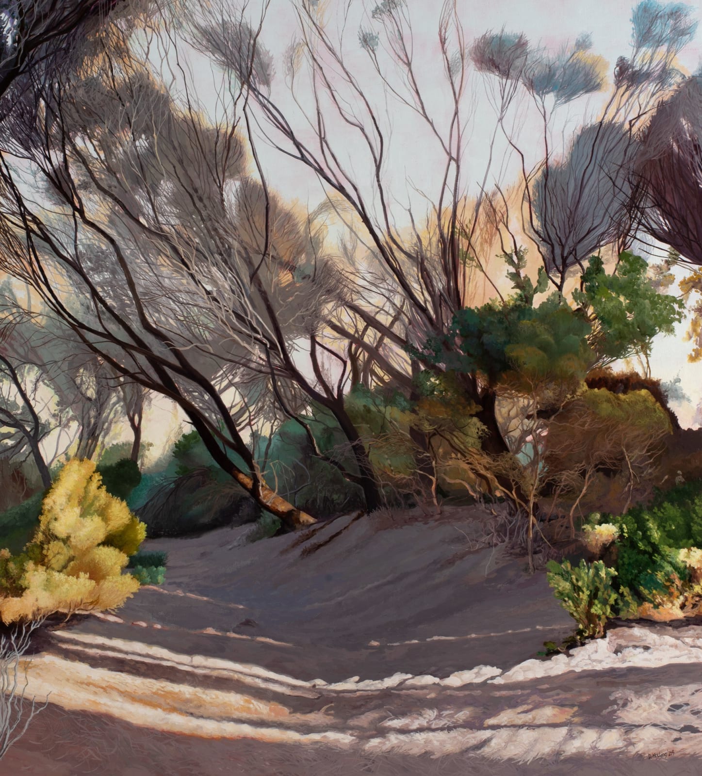 David Keeling, Shadows dance, 2024