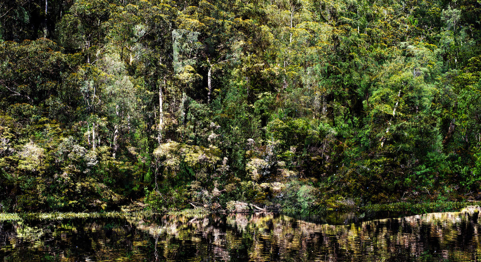 Troy Ruffels, Time like Water, 2025