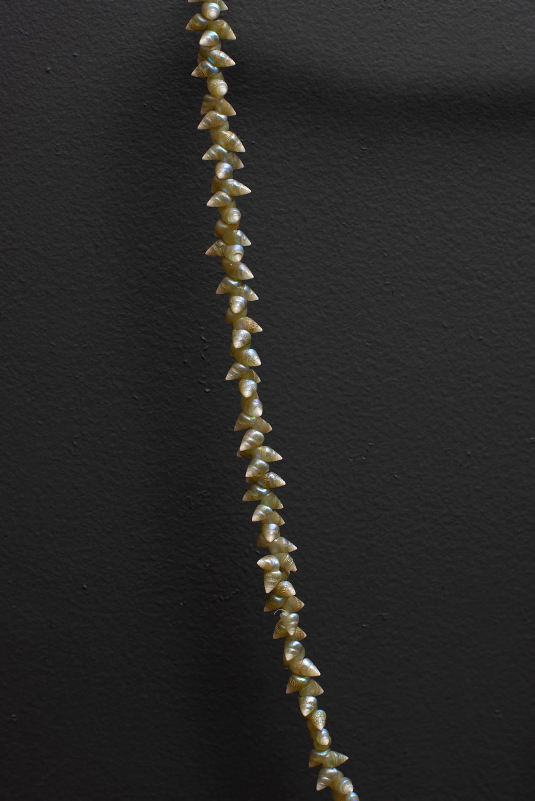 Emma Robertson, palawa necklace, 2022