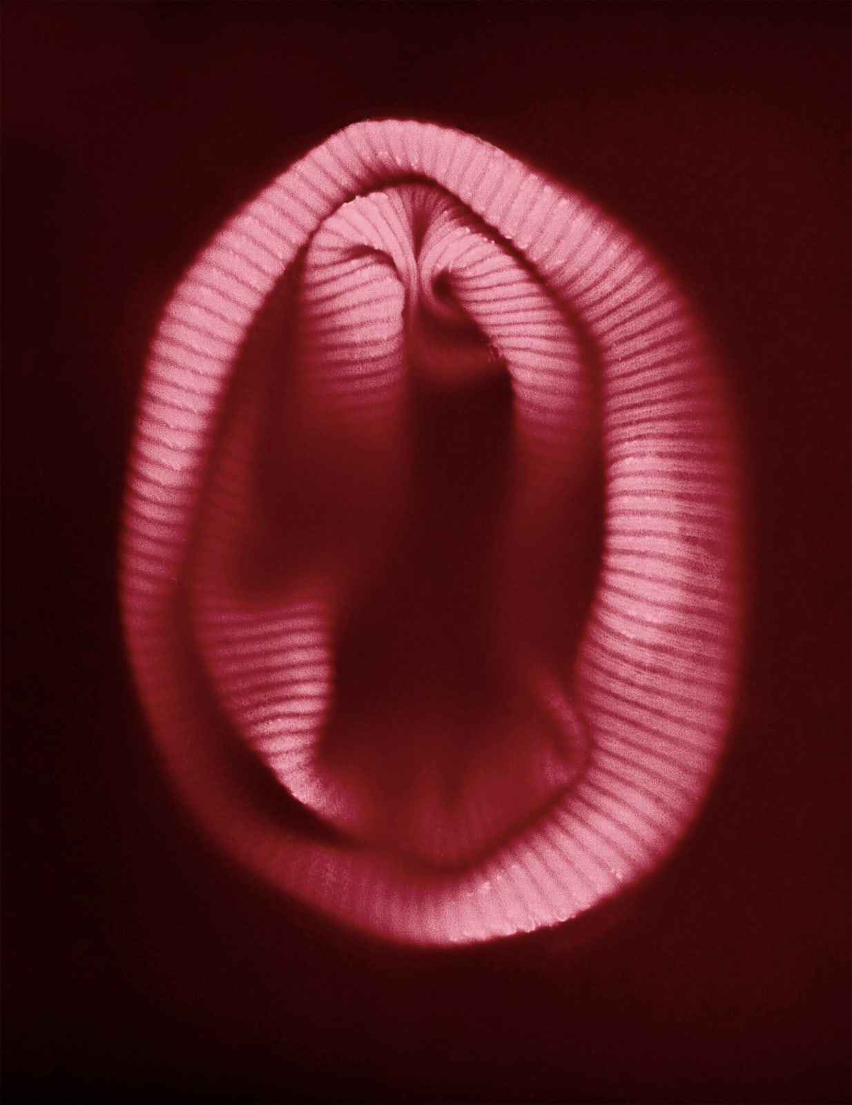 Pat Brassington, Sweet and sour , 2022