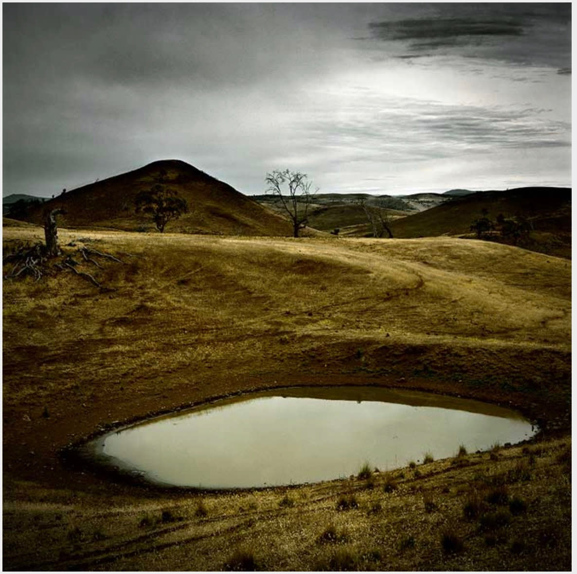 Jane Burton, Motherland 6, 2008