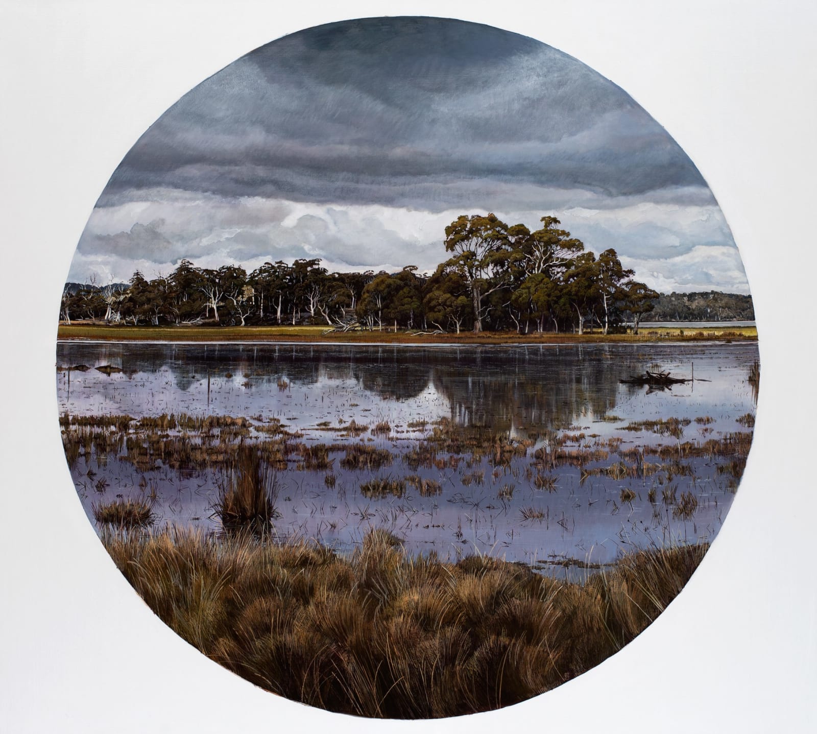 Stephanie Tabram, Shifting Light, 2023