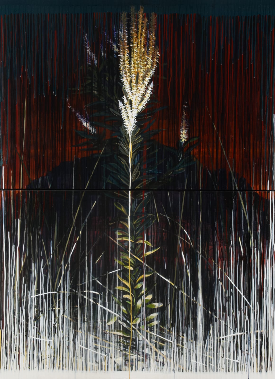 Raymond Arnold, White Waratah, 2013