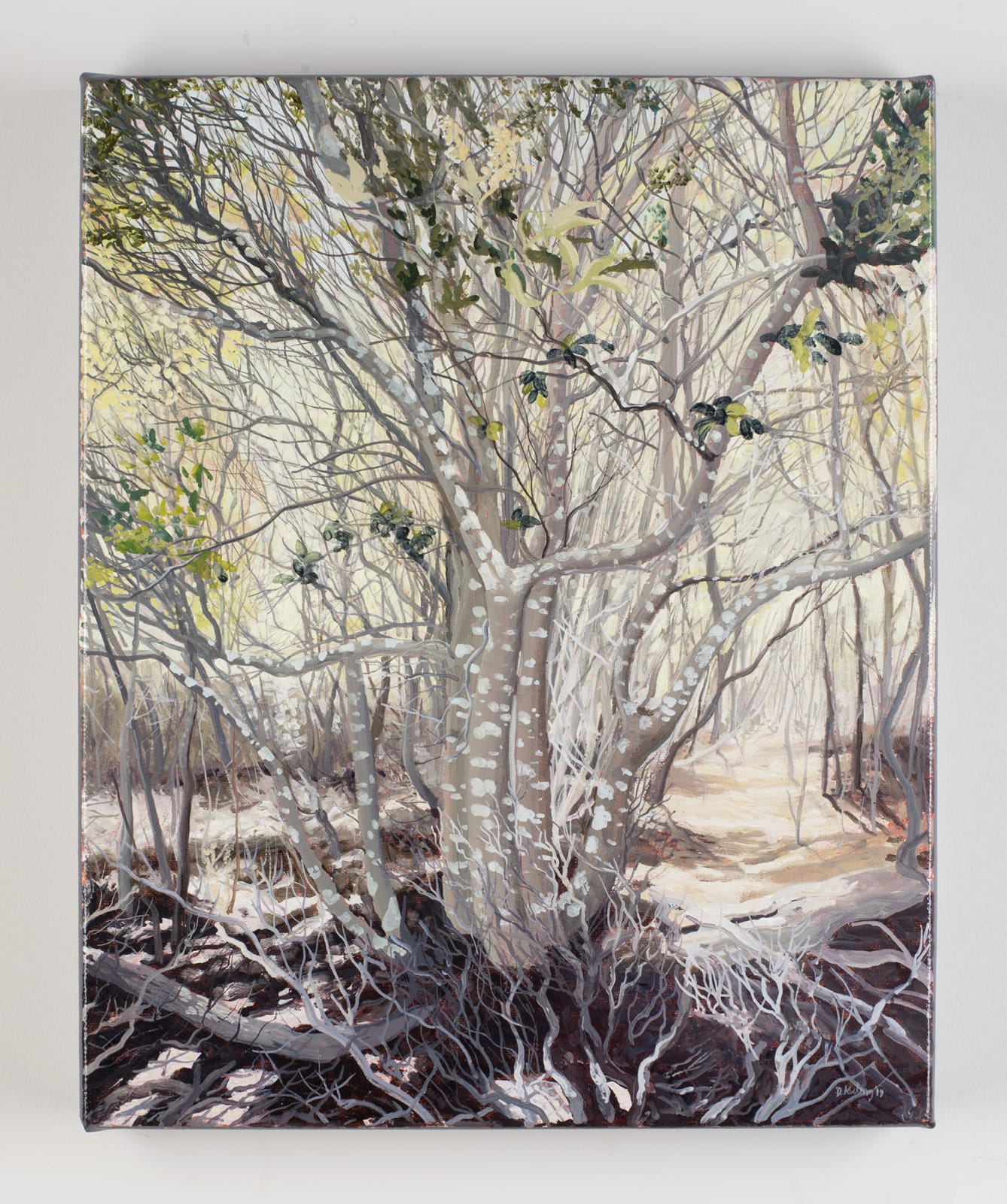 David Keeling, The Big Punchbowl II, 2019