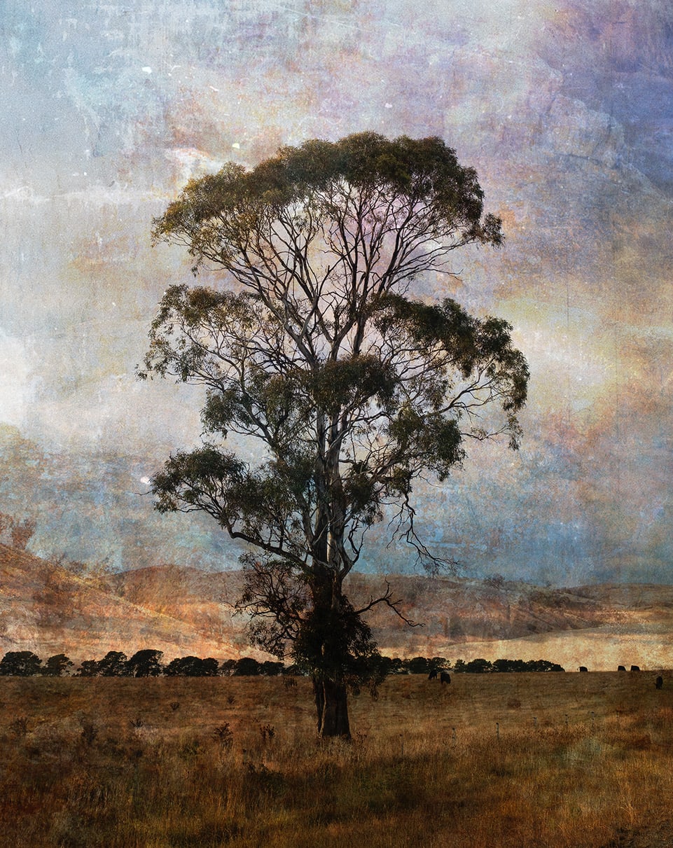 Troy Ruffels, Weathered Ground, 2021