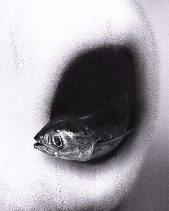 Pat Brassington, Vedette, 2016