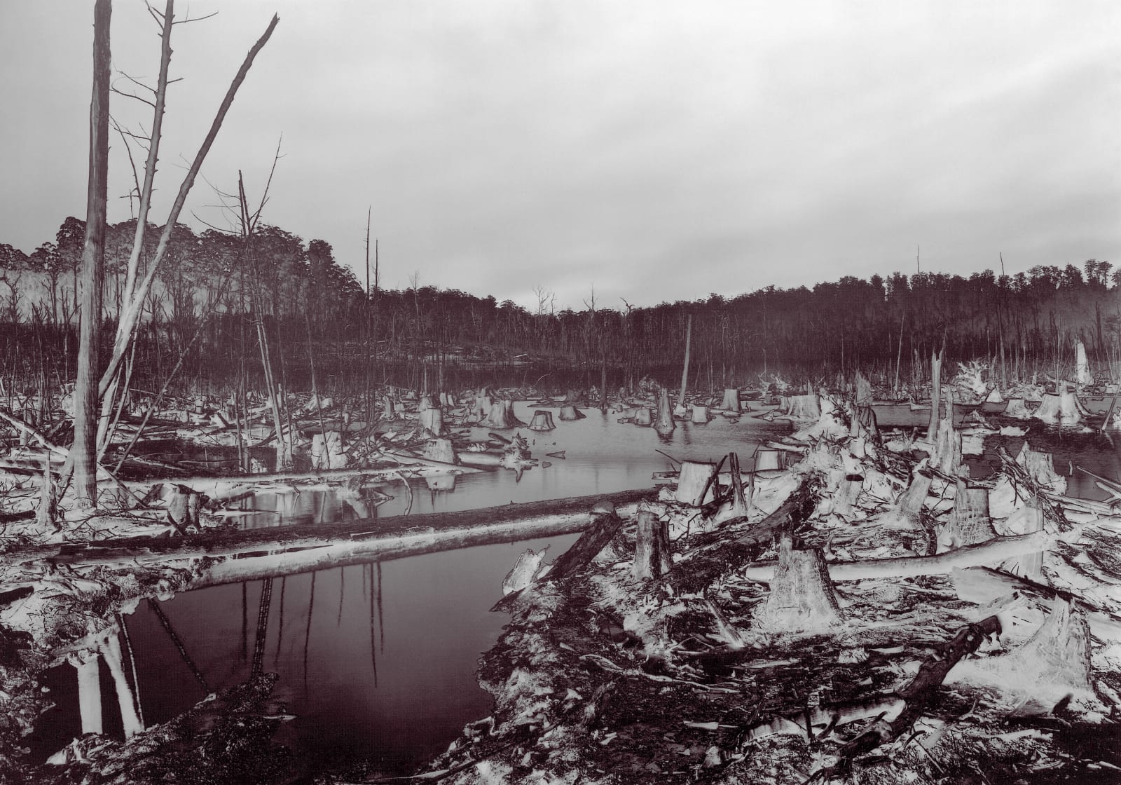 David Stephenson, Drowned No.194, 2002