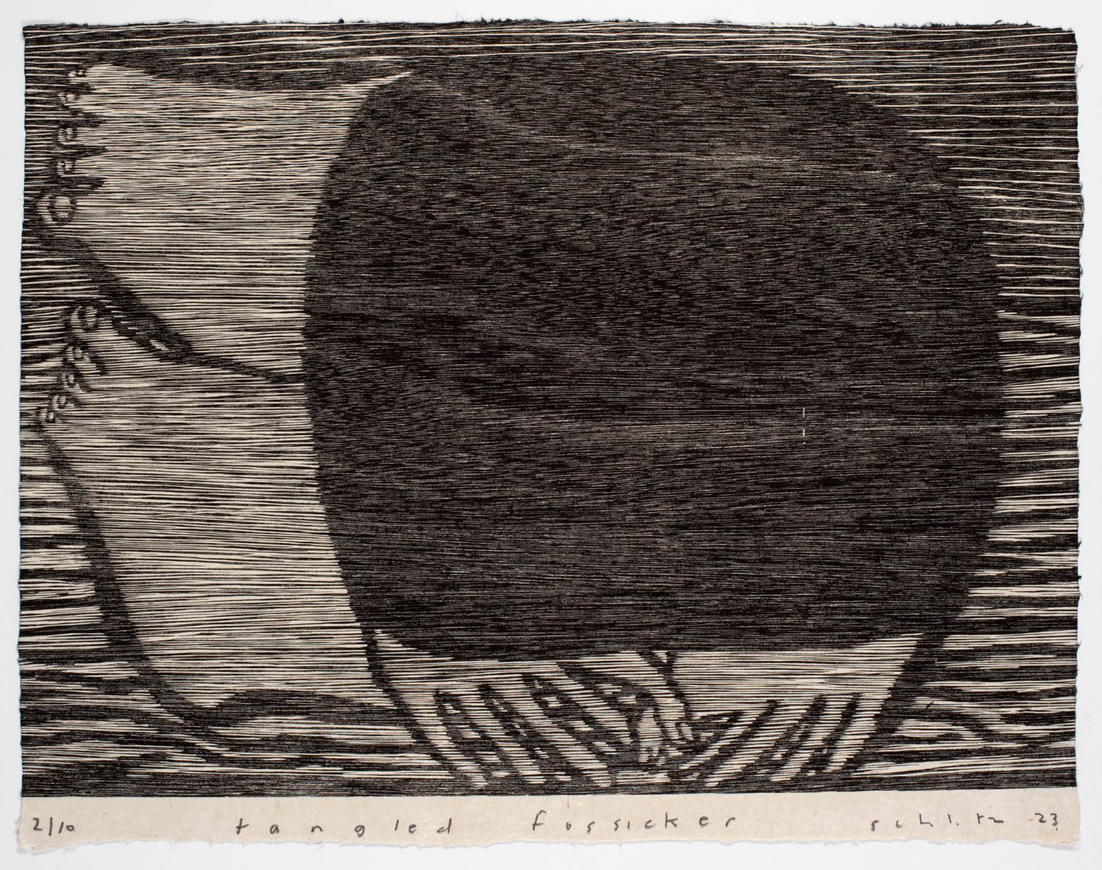 Michael Schlitz, Tangled Fossicker, 2023