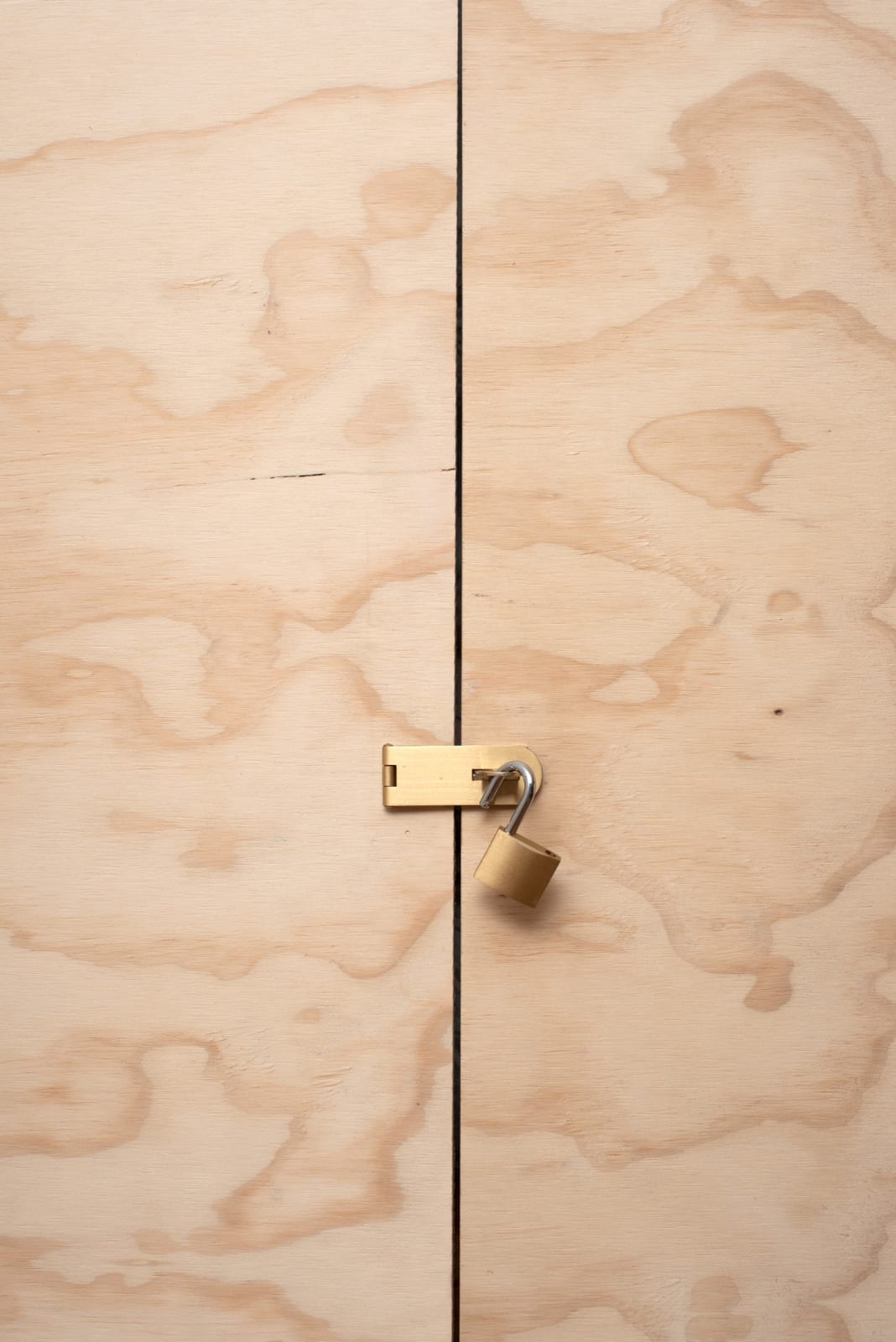 Robert O’Connor, Still Life 1, 2023